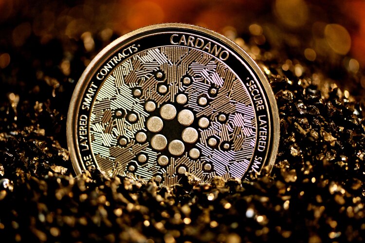Cardano Coin 31 02 Large