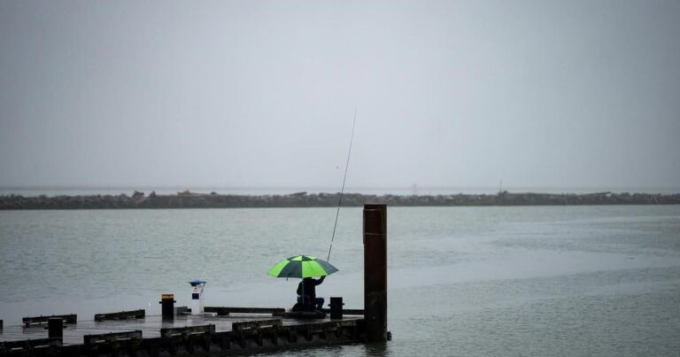 insurancecompanie.com | 2024 was Vancouver's wettest year so far this century: Environment Canada data