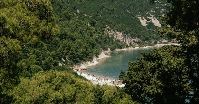 insurancecompanie.com | Albania awarded Jared Kushner Hotel Project when Trump returned