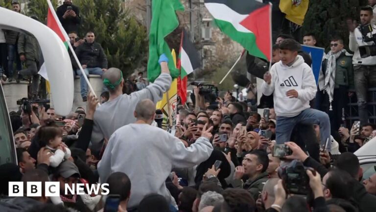 Crowd waving Palestinian flag