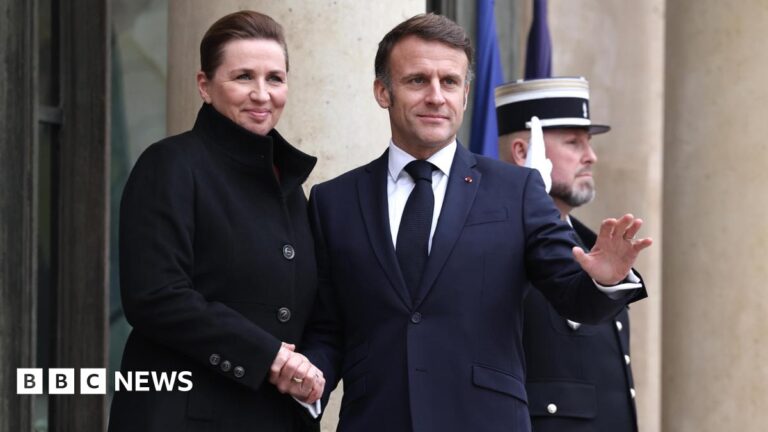 Mette Frederiksen, wearing a dark coat, shakes President Macron