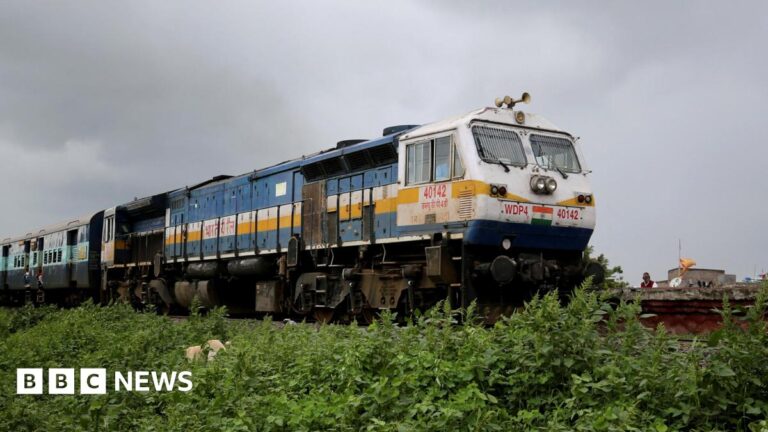 Indian locomotive-hauled train travelling left to right on embankment with green verge in Maharashtra state