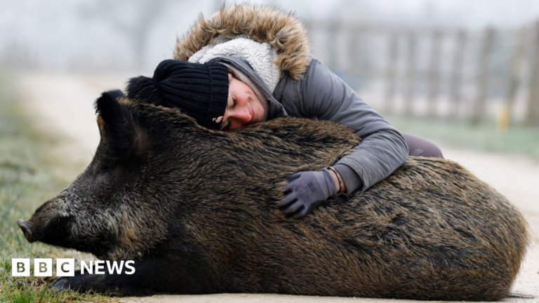 Elodie Cappe hugs