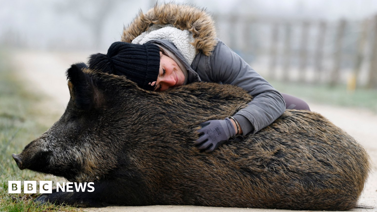 Elodie Cappe hugs