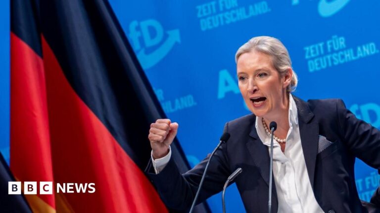 Alice Weidel, a blond woman wearing a suit jacket and a white shirt, shakes her fist. The blue background reads "It