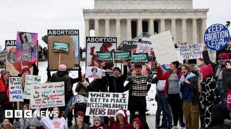 A crowd holds signs outside the Lincoln memorial