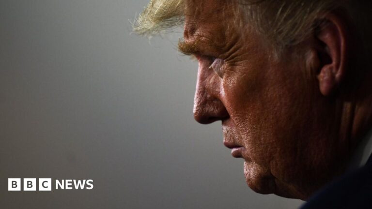 Image shows side profile of Donald Trump