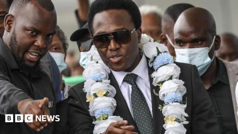 Venancio Mondlane, wearing dark glasses and with a garland around his neck, is surrounded by other people in Maputo on 9 January 2025
