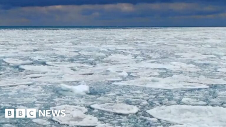 Ice sheets cover lake michigan on a cold, day with a blue sky and a string of clouds in the distance.