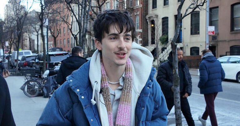 insurancecompanie.com | The Drama of Timothée Chalamet helped the Dhamma changed his life