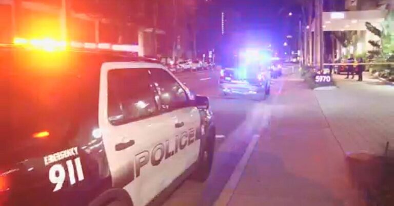 insurancecompanie.com | After seeing "two Palestinians", he was accused of turning the fire on motor vehicles on Miami beach