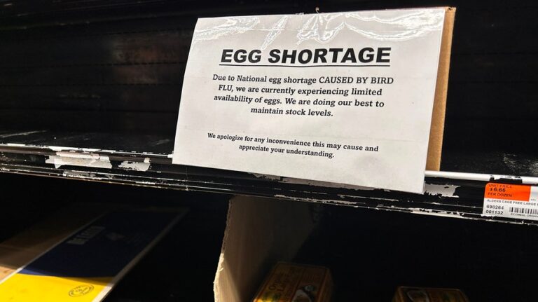 The sign of egg shortcut