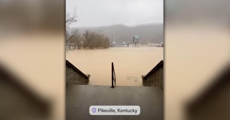 insurancecompanie.com | "Hard flood" describes the water as mayor as the mayor