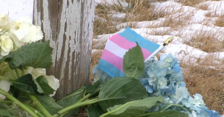 insurancecompanie.com | Shipping in New York in New York for killing Transgender Minnesota
