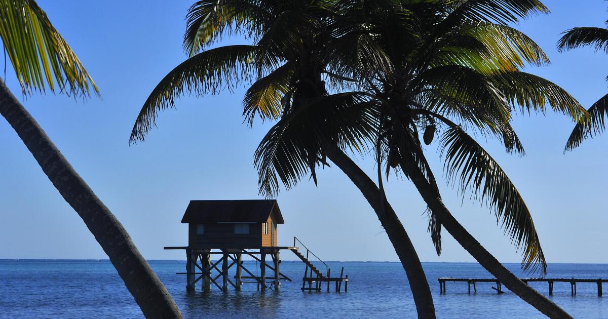 insurancecompanie.com | Three American women who died at the beach resort at Beach Resort