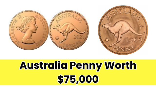 insurancecompanie.com | Australia Penny worth $ 75,000: Rare collector or myth