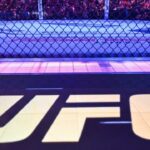 UFC in sports