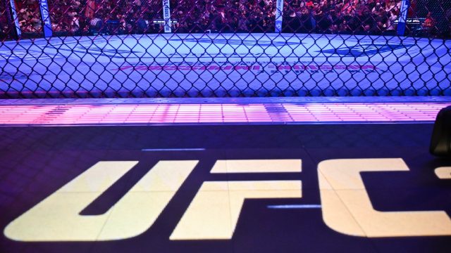 UFC in sports