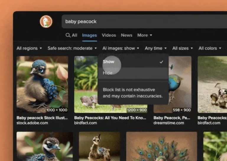 Screenshots showing new setting in a duckdkkgo portrait, allowing users of the AI image user on search results.