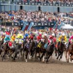 On the king plate sports