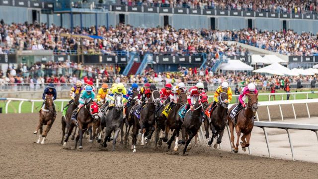 On the king plate sports