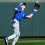 Cubs call the Cubs Outfield Oin Cases

