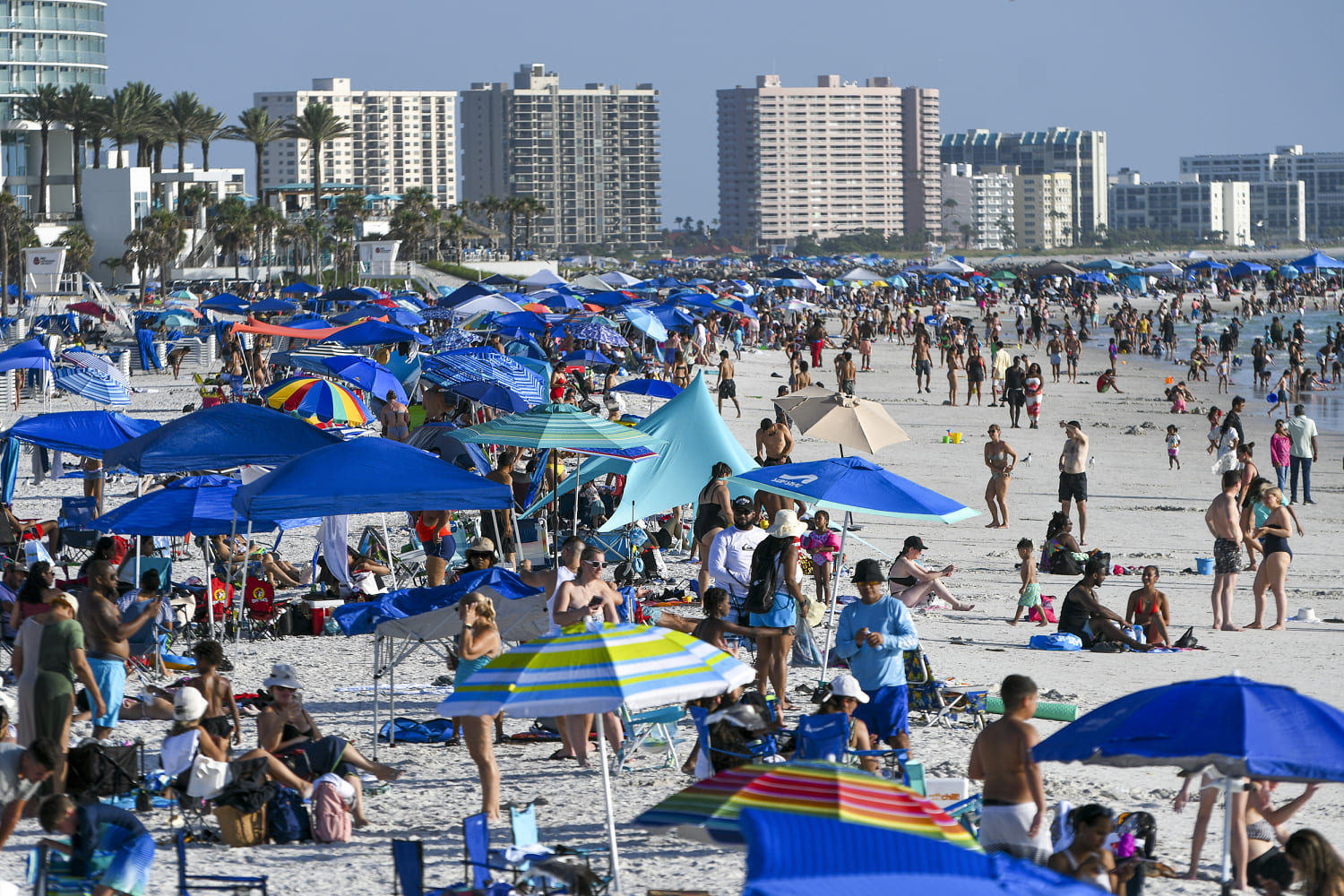 Does the death of the bacteria-cast meat-eaten in Florida and Louisiana's