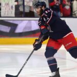 Florida Panthers agree to terms with FLUKE ears

