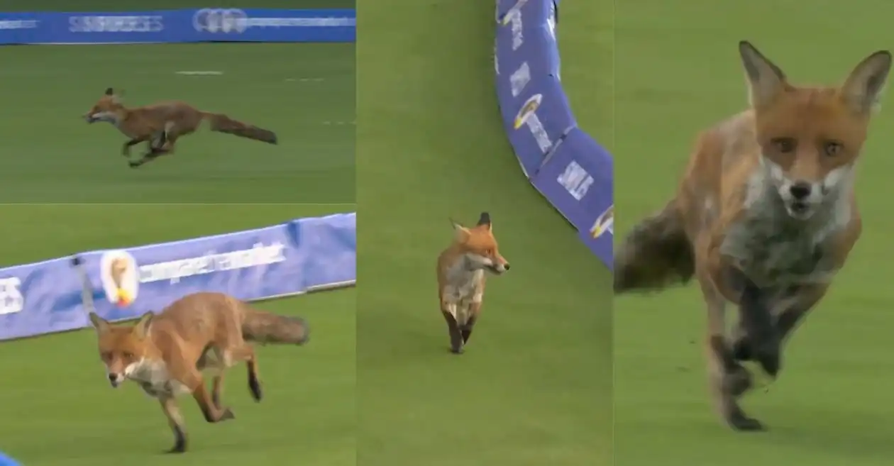 Hundreds of 2025 (watch): FOX strikes God and Halts Play In addition to the London VS InsBolles