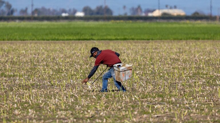 The hipotle of food is like a chipotle supports local farmers facing agricultural challenges