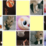 The obvoys out of the dodge, and the damaged thing in Danish countries: Berharge Quiz


