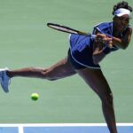 Venice Williams was cut as the new US Open mixed dwarf tournament

