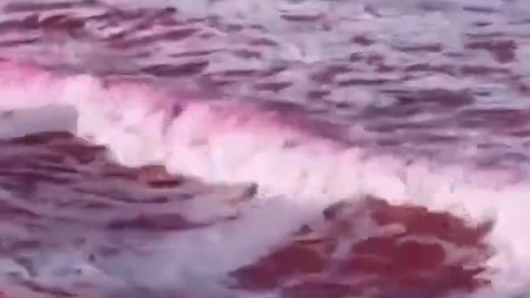 Dyeing ebine overcome pollution on California beach