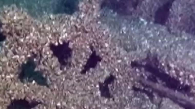 'Ghost' KHOST vessels since 1886 was found in the lake michigan