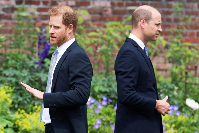 Prince Harry states a fun-fun-fun-fun-fun-fun-mock-mock-mock-mock-mock-mocking 'spare, want to see the king of Charles