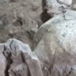Scientists find the last mummies

