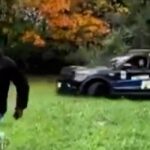 Baltimore officers were called after a car chase

