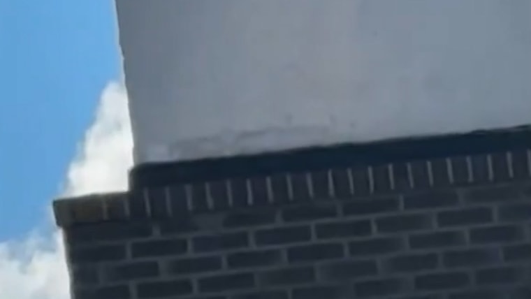 Coyote kicked in hotel florida parking garage