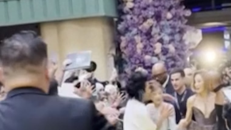 Fan rush Ariana nini at the 'evil: For good' premiere