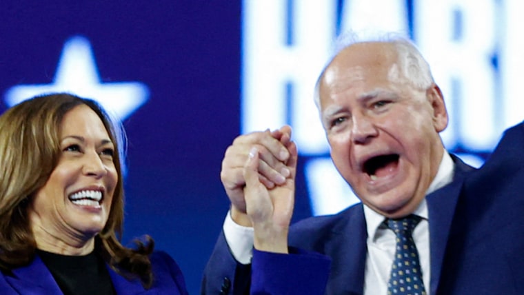 Harris would be a good 2028 candidate, but not the only one