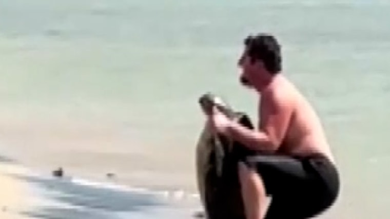 Hawaii officials are investigating the man who took the sea turtle