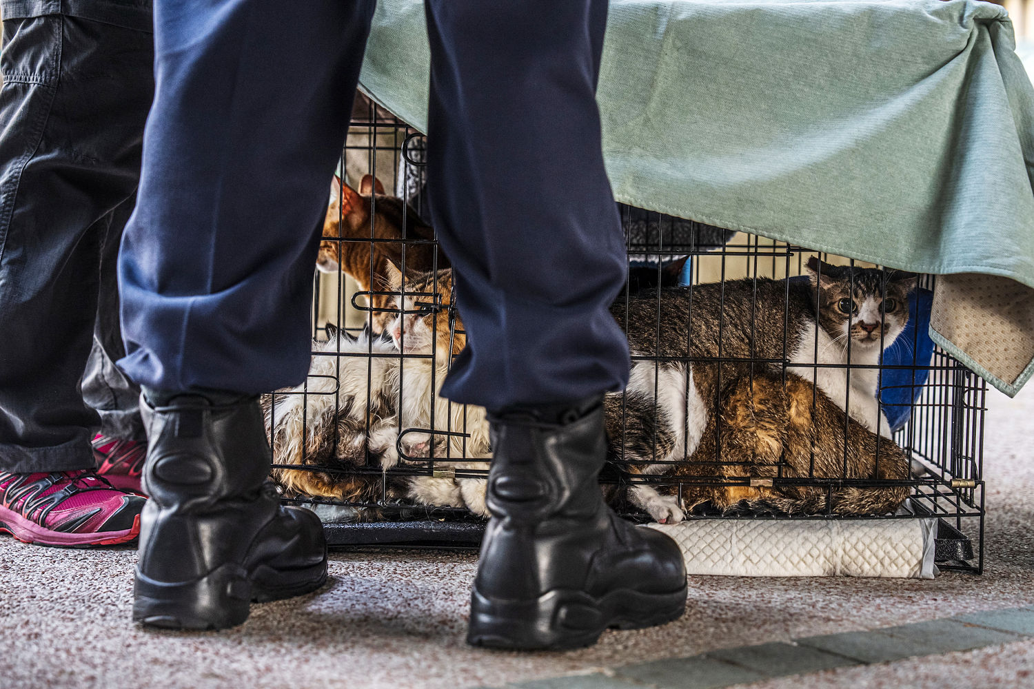 Hong Kong Fire Muls Center in Bambozolding, an icon of the city