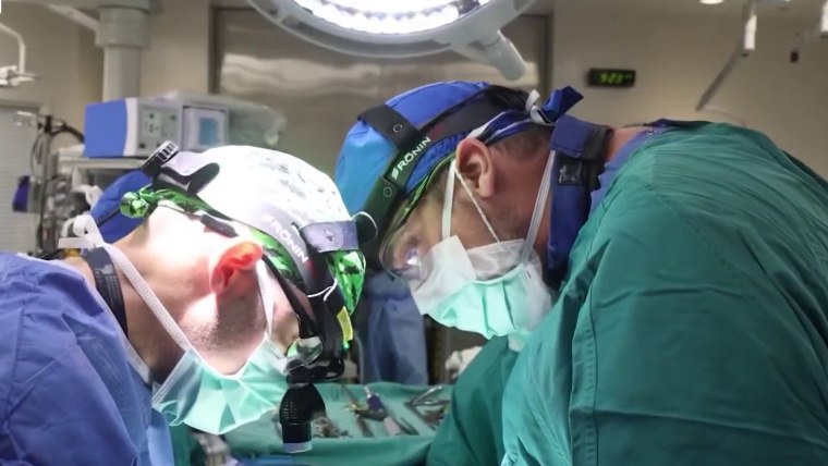 Human brains have 5 ice creams' in their lifetime, learn to find