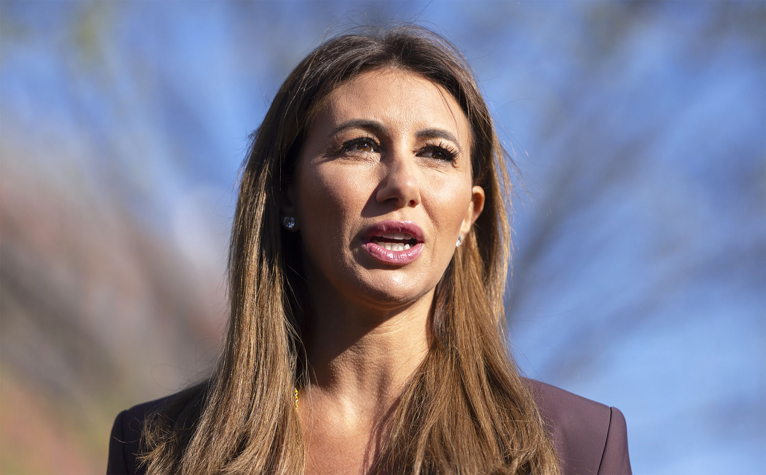 Investigators are looking for a man who showed up in the city of Alin Habba Habba with a bat