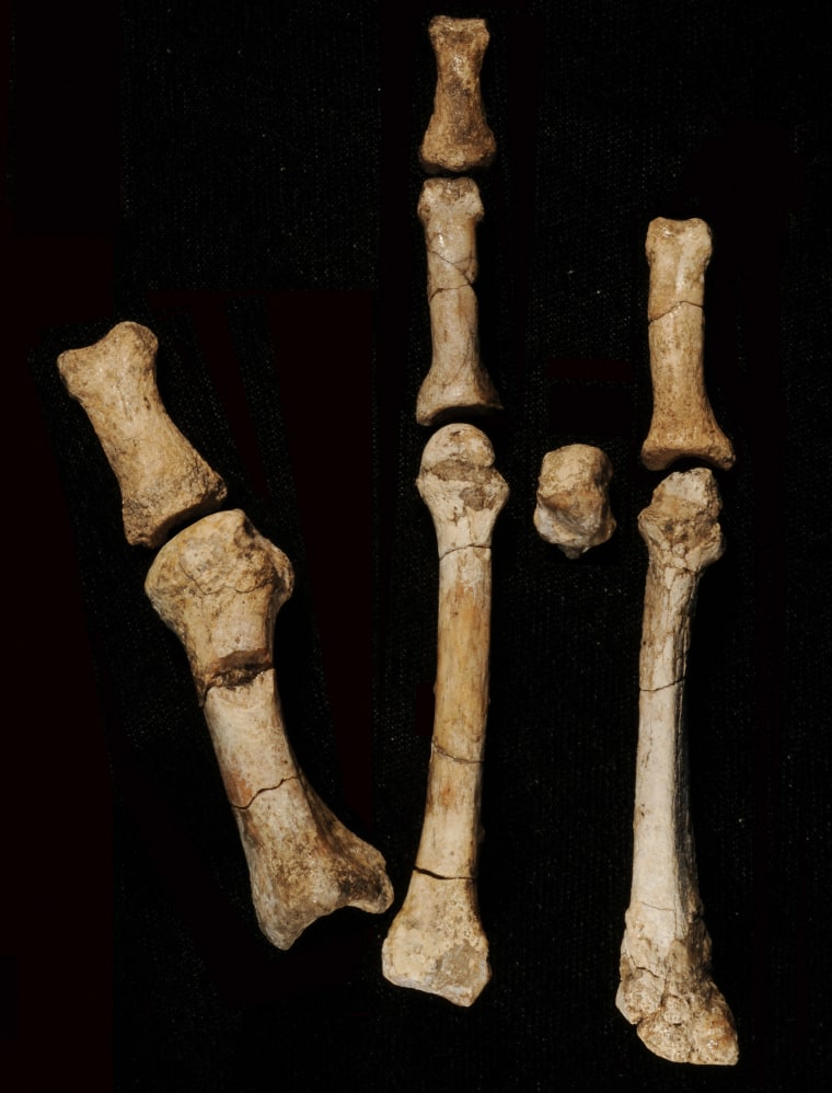 Element foot bestele.