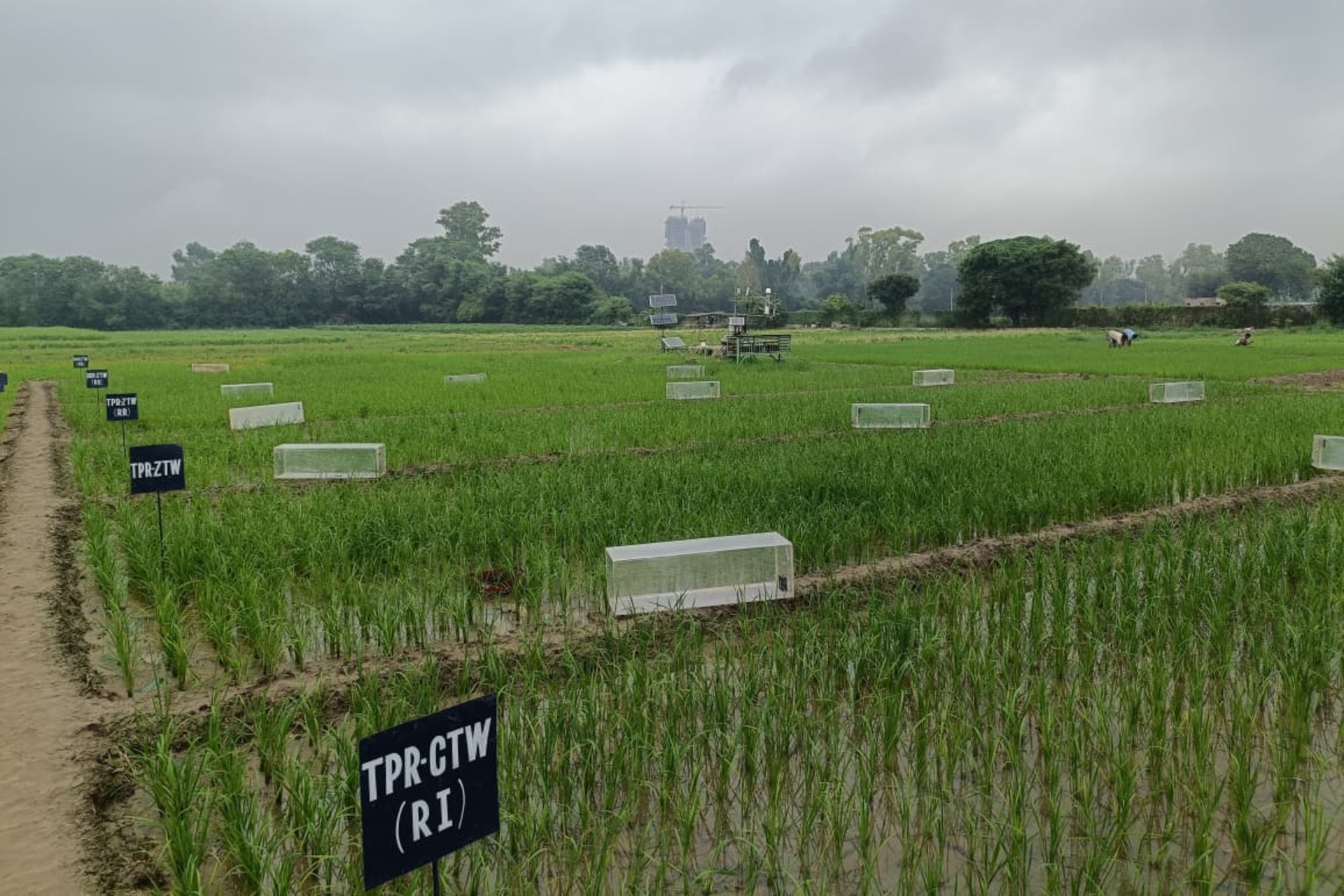 Mirova's Dry-open fund pours $30.5m into India's Varia for Regenerative Farmers