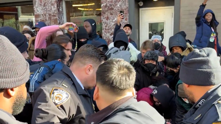 People arrested during anti-ice demonstration in NYC