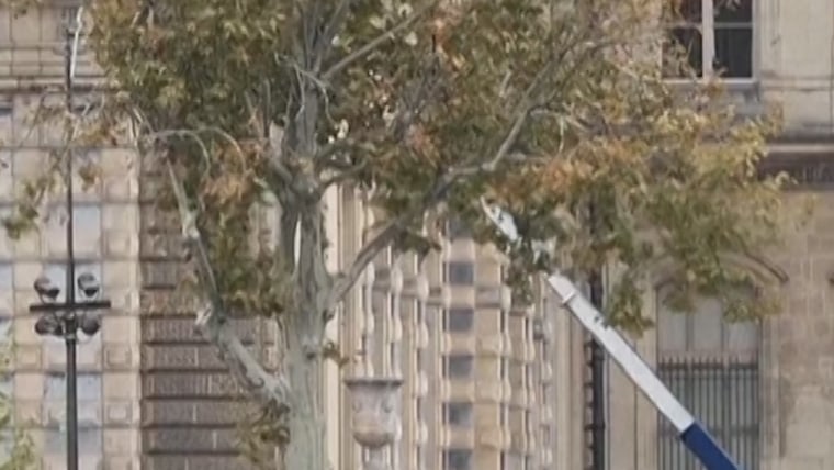 Police arrested four more people in the Louvre investigation