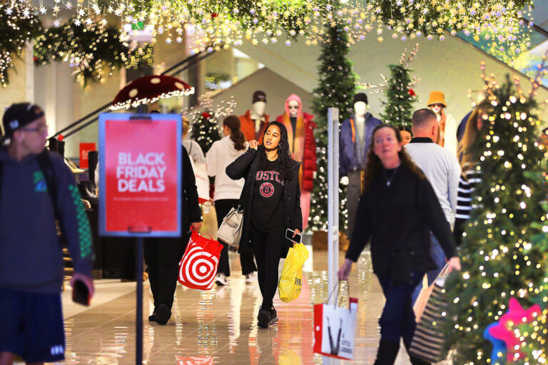 Shoppers Plan to Cut Black Friday State This Year: Survey