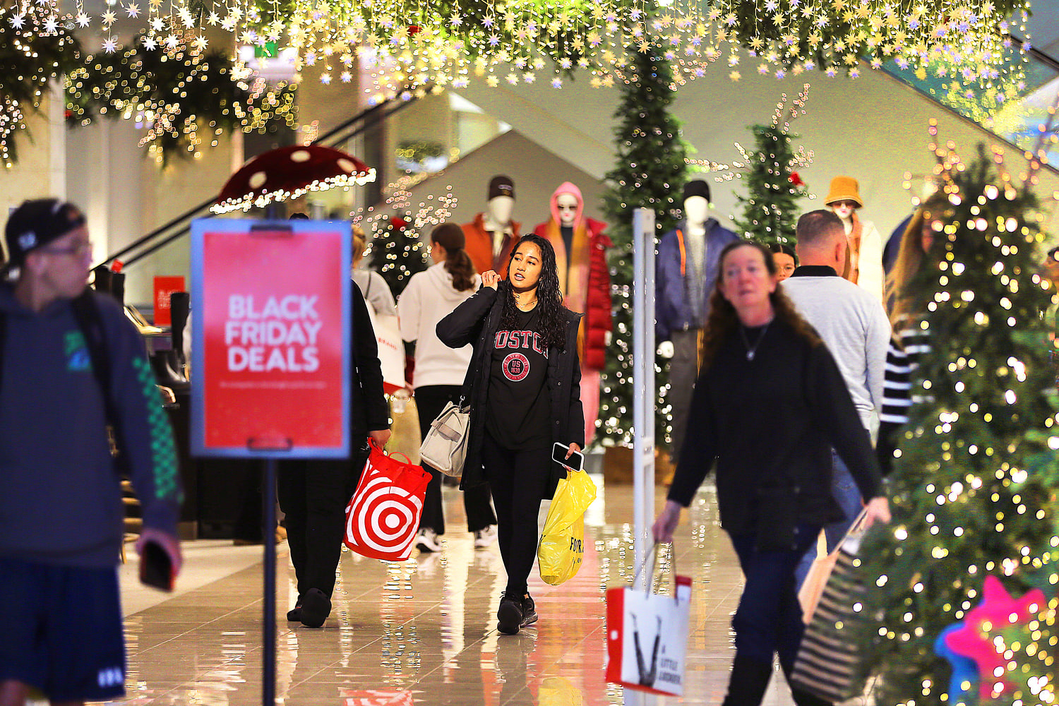 Shoppers Plan to Cut Black Friday State This Year: Survey